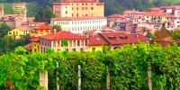 Barolo